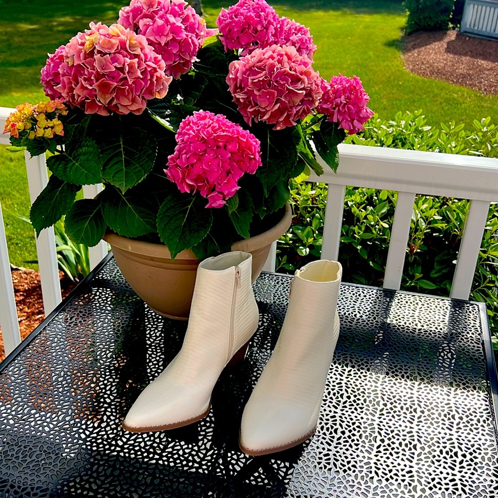 Lulus NWOT cream western booties.